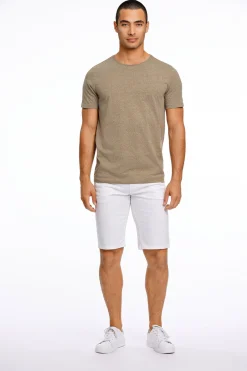 Chinosshorts