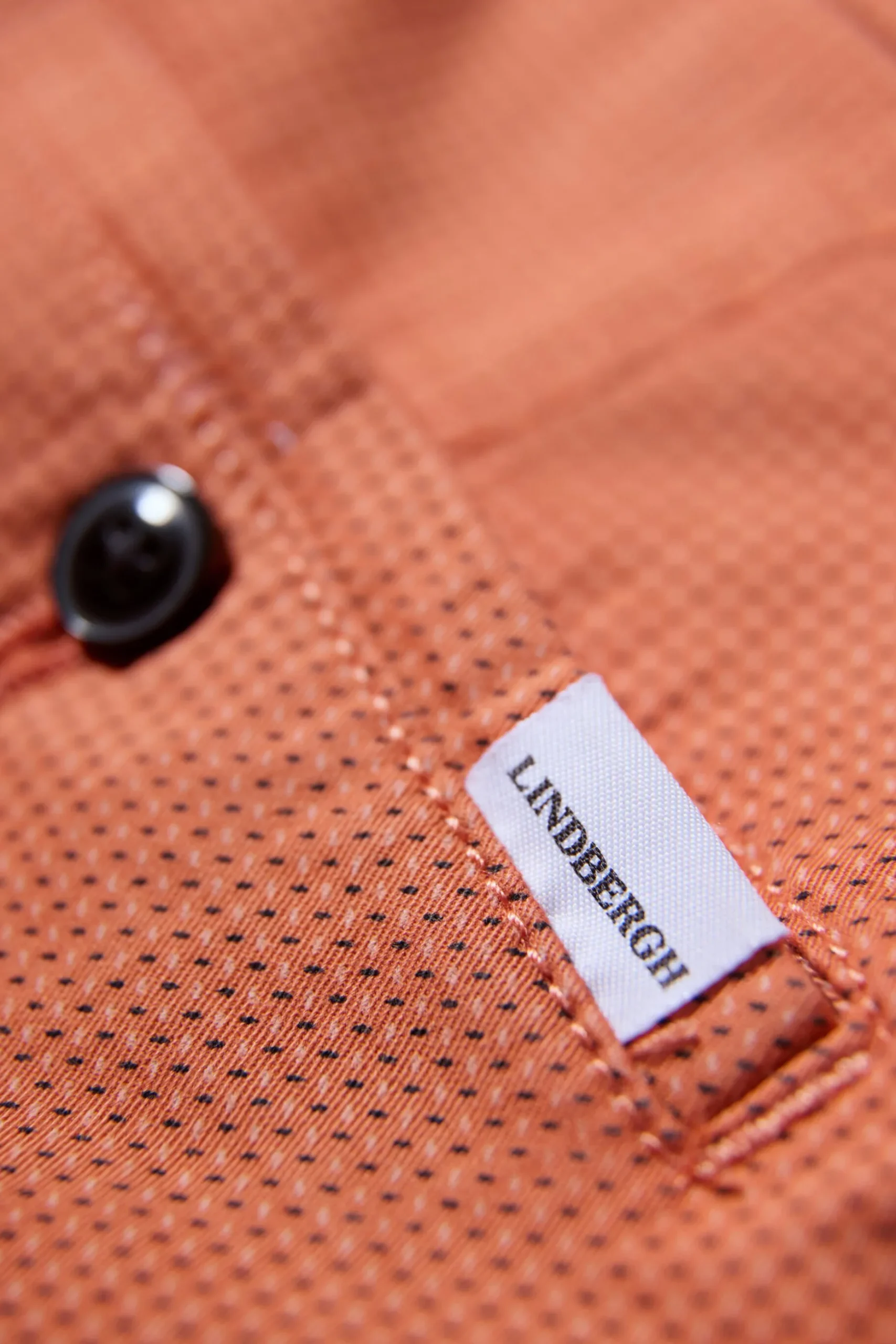 Chinosshorts